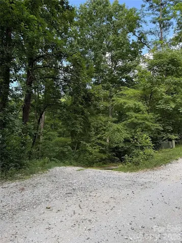 1142 Rixhaven Drive Saluda NC 28773