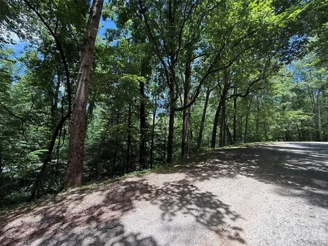 1142 Rixhaven Drive Saluda NC 28773