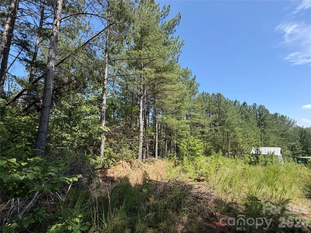 590 Gold Creek Point Union Mills NC 28167