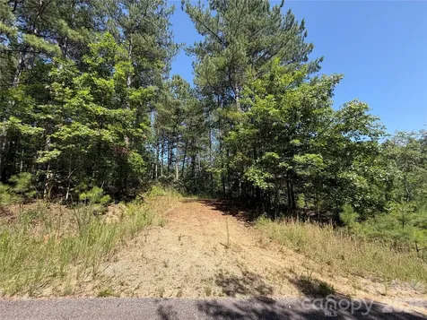 590 Gold Creek Point Union Mills NC 28167