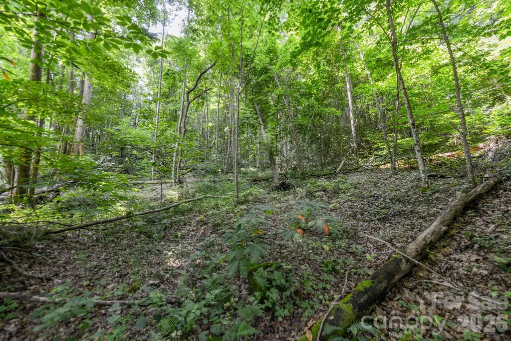 ### Board Tree Road Marshall NC 28753