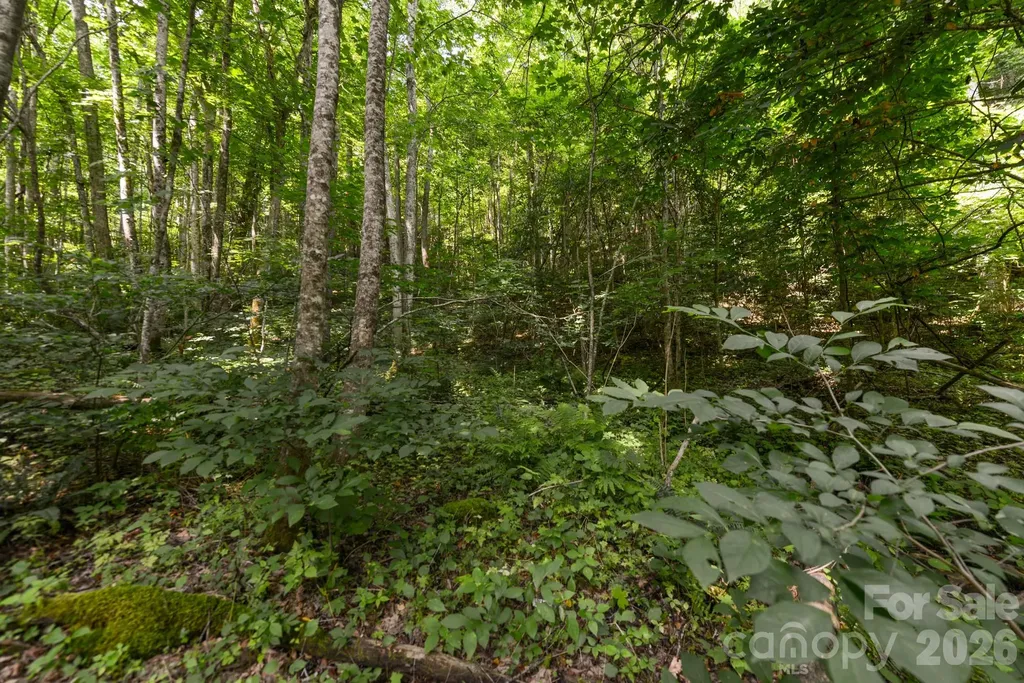 ### Board Tree Road Marshall NC 28753