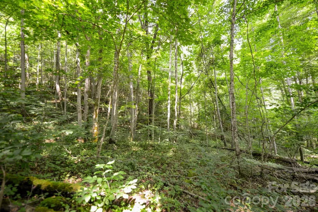### Board Tree Road Marshall NC 28753