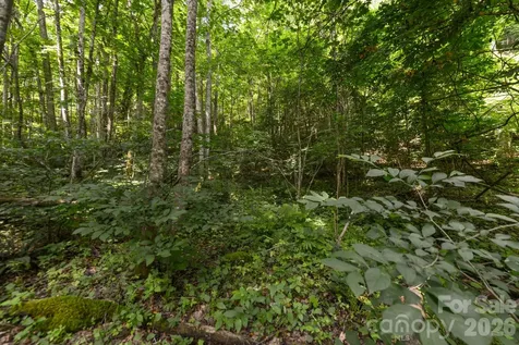 ### Board Tree Road Marshall NC 28753