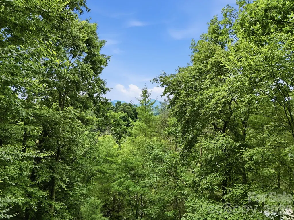 176 Ravens View Boone NC 28607