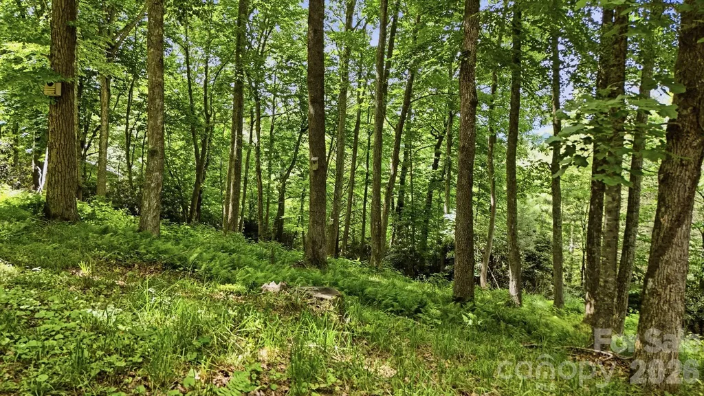 176 Ravens View Boone NC 28607