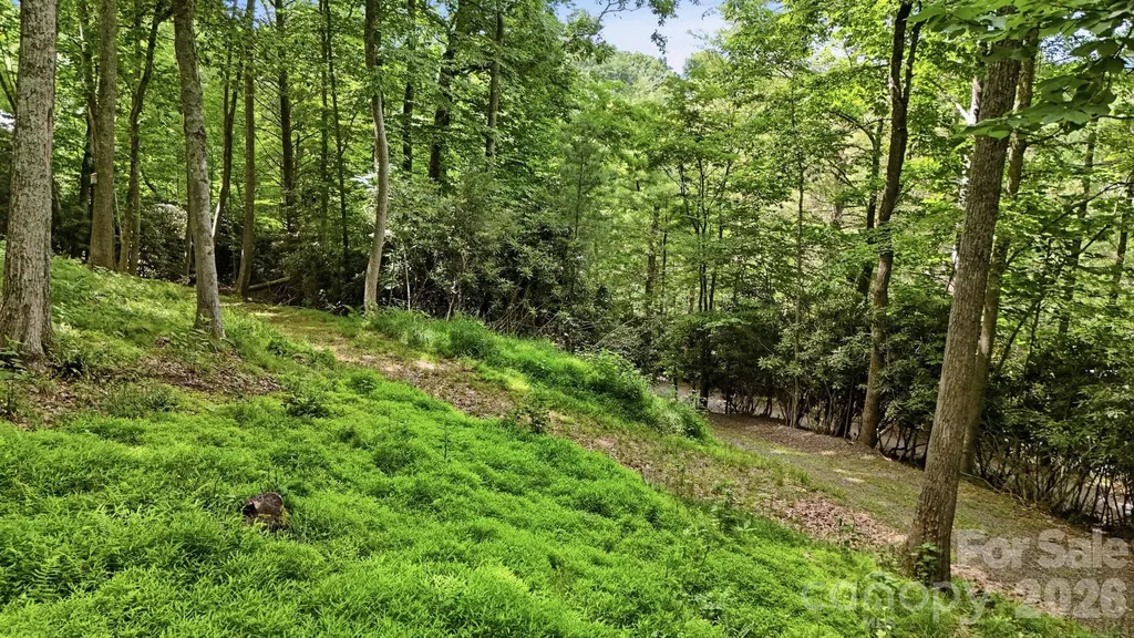 176 Ravens View Boone NC 28607