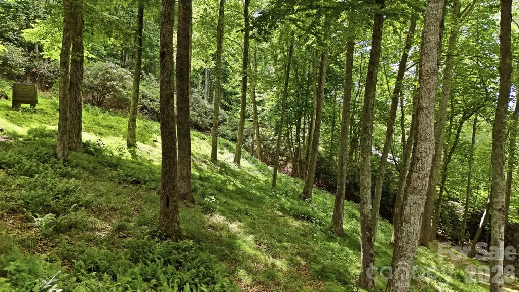 176 Ravens View Boone NC 28607