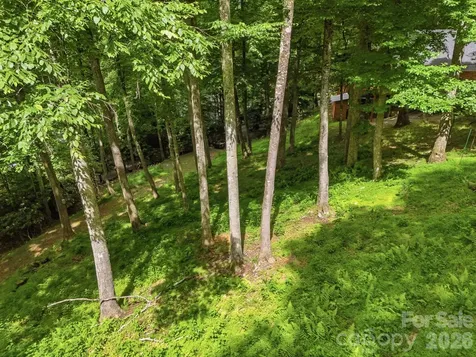 176 Ravens View Boone NC 28607
