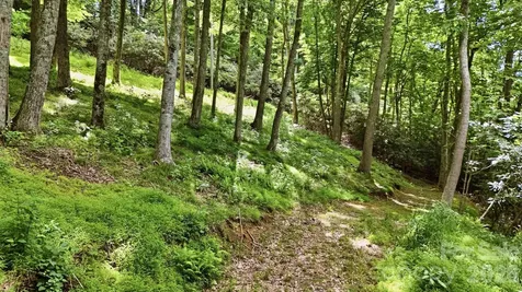 176 Ravens View Boone NC 28607