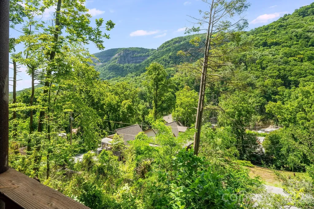 950 Main Street Chimney Rock NC 28720