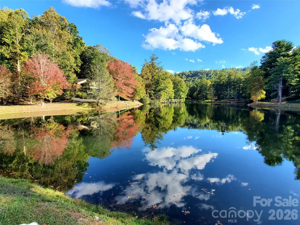 111 W Kindy Forest Drive Hendersonville NC 28739