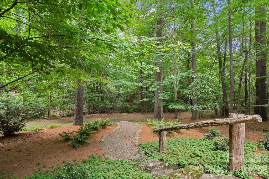 626 Wickhams Fancy Drive Candler NC 28715