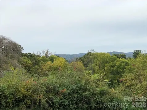 836 Burney Mountain Road Fletcher NC 28732