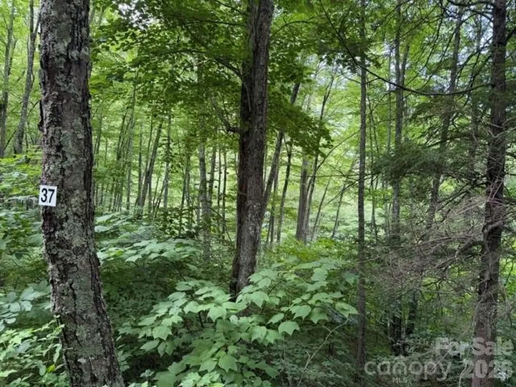 Lot 37 Odalu Trail Maggie Valley NC 28751