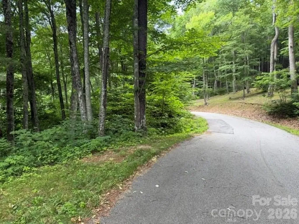 Lot 37 Odalu Trail Maggie Valley NC 28751