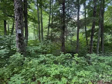 Lot 37 Odalu Trail Maggie Valley NC 28751