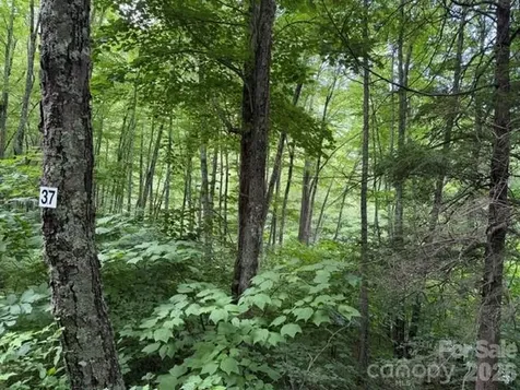 Lot 37 Odalu Trail Maggie Valley NC 28751