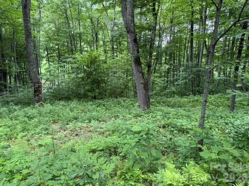 Lot 36 Odalu Trail Maggie Valley NC 28751