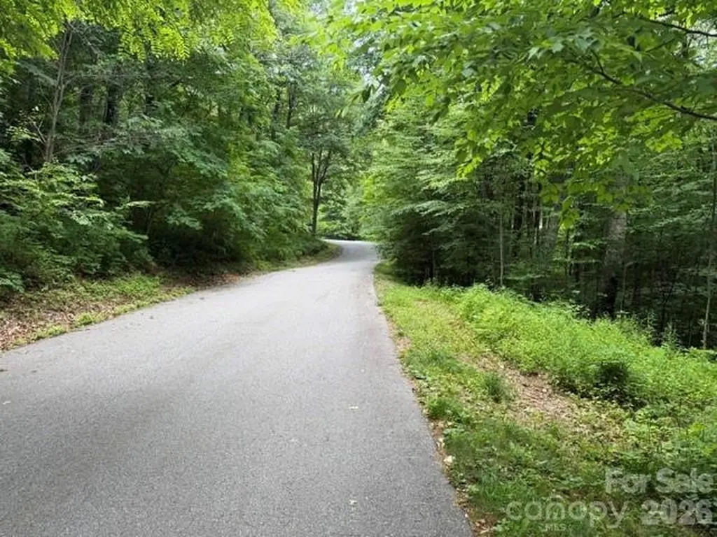 Lot 36 Odalu Trail Maggie Valley NC 28751