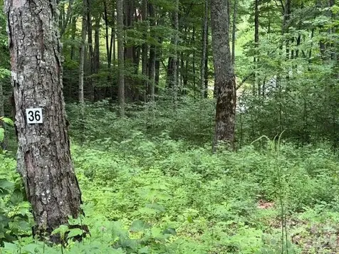 Lot 36 Odalu Trail Maggie Valley NC 28751