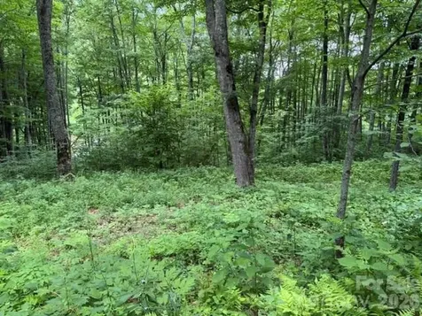 Lot 36 Odalu Trail Maggie Valley NC 28751