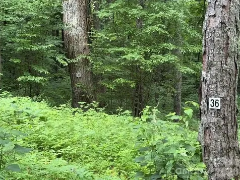 Lot 36 Odalu Trail Maggie Valley NC 28751