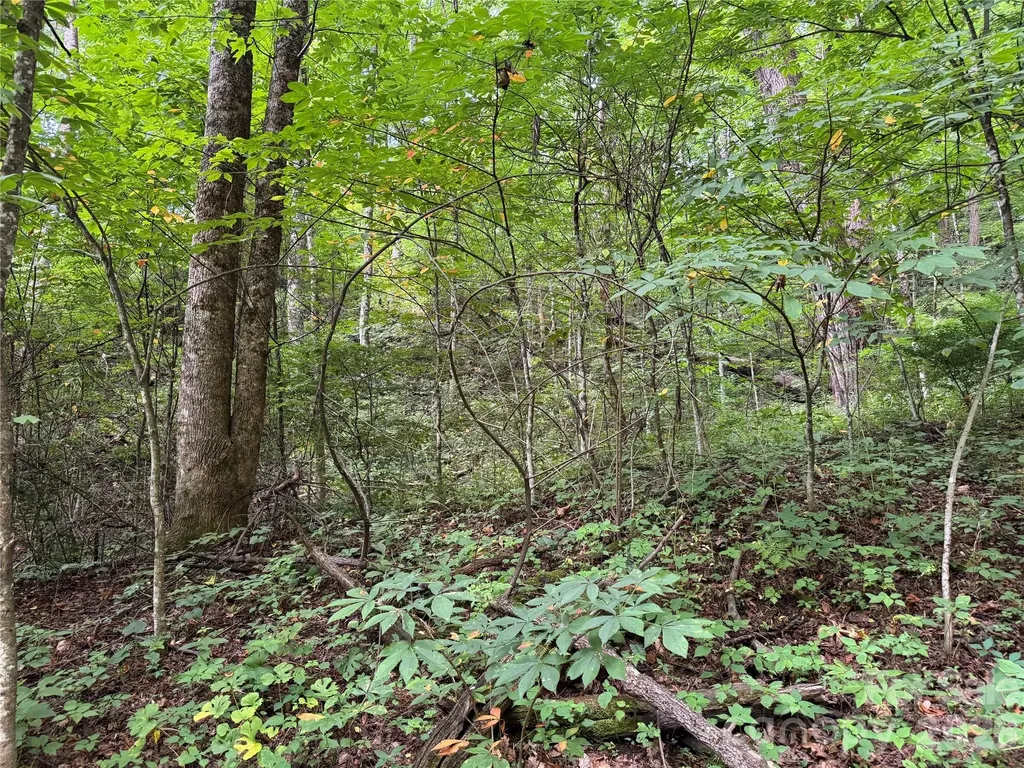 Lt 18 Silverbell Lane Waynesville NC 28786