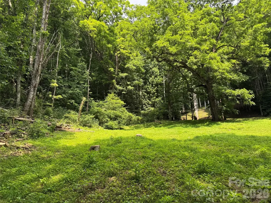 Lt 18 Silverbell Lane Waynesville NC 28786
