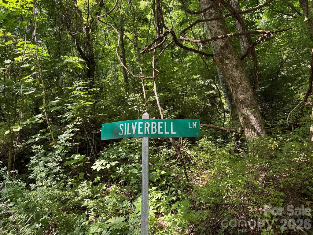 Lt 18 Silverbell Lane Waynesville NC 28786