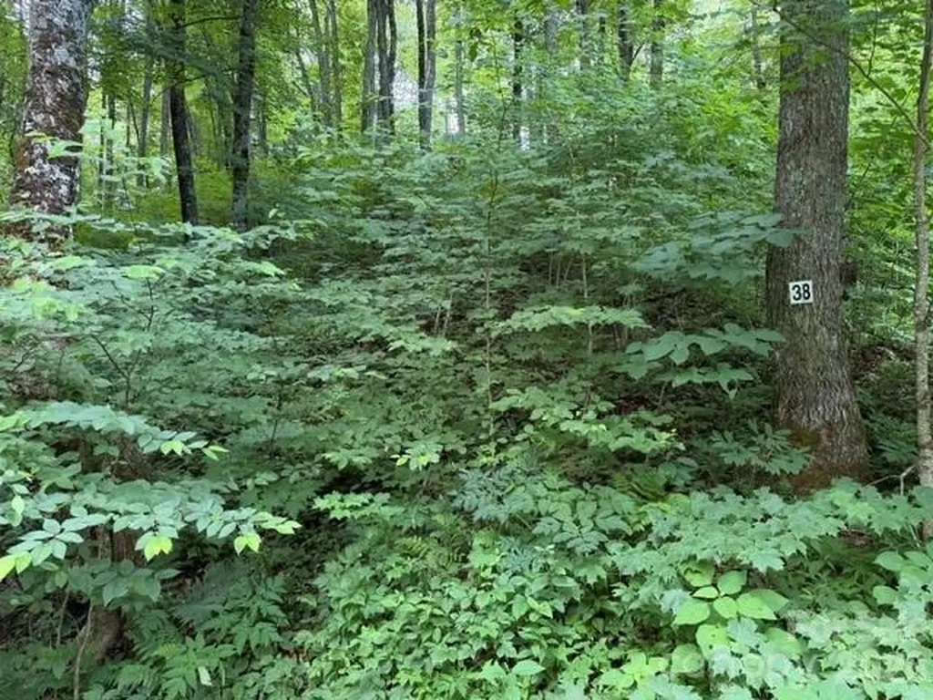 Lot 38 Yanasa Trail Maggie Valley NC 28751