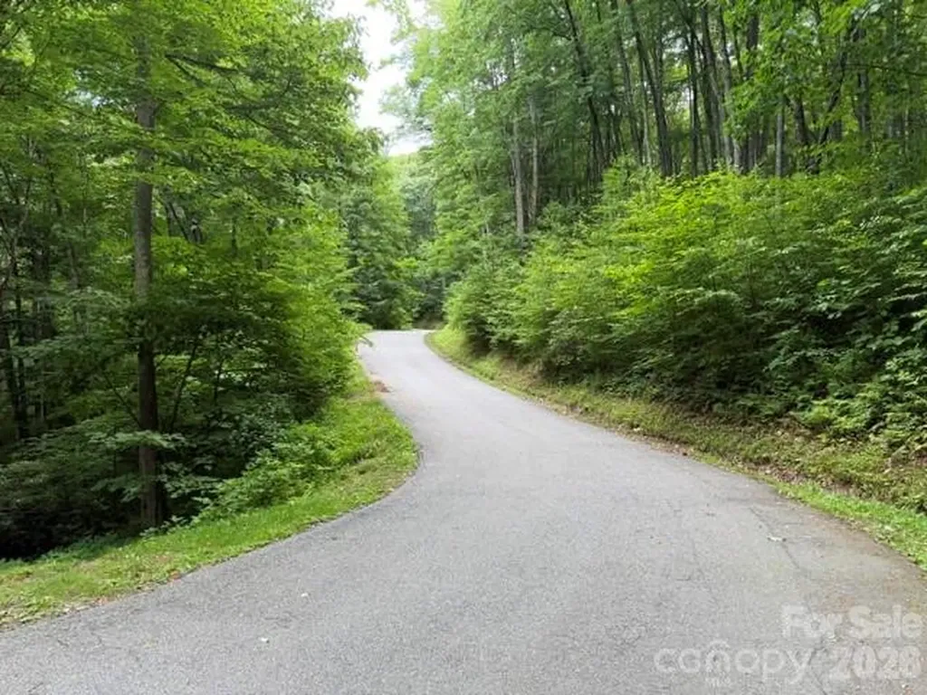 Lot 38 Yanasa Trail Maggie Valley NC 28751
