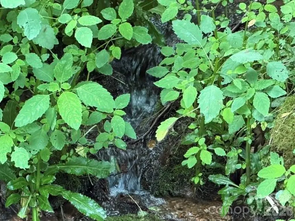 Lot 38 Yanasa Trail Maggie Valley NC 28751