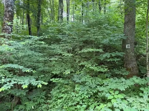 Lot 38 Yanasa Trail Maggie Valley NC 28751