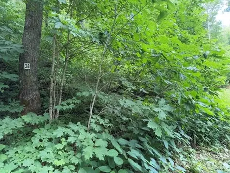 Lot 38 Yanasa Trail Maggie Valley NC 28751