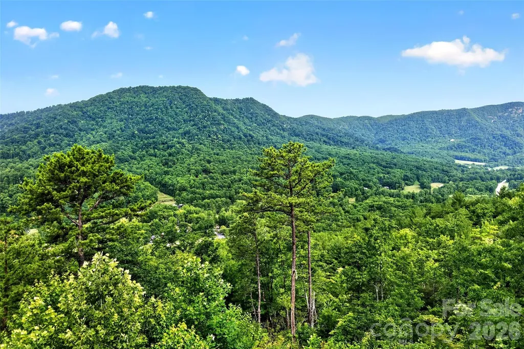 40 E Valley View Drive Marion NC 28752