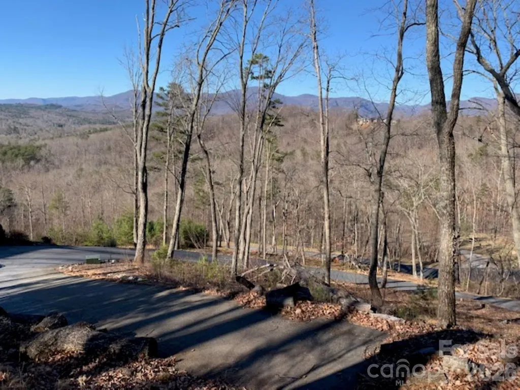 218 Rock Ledge Drive Lake Lure NC 28746