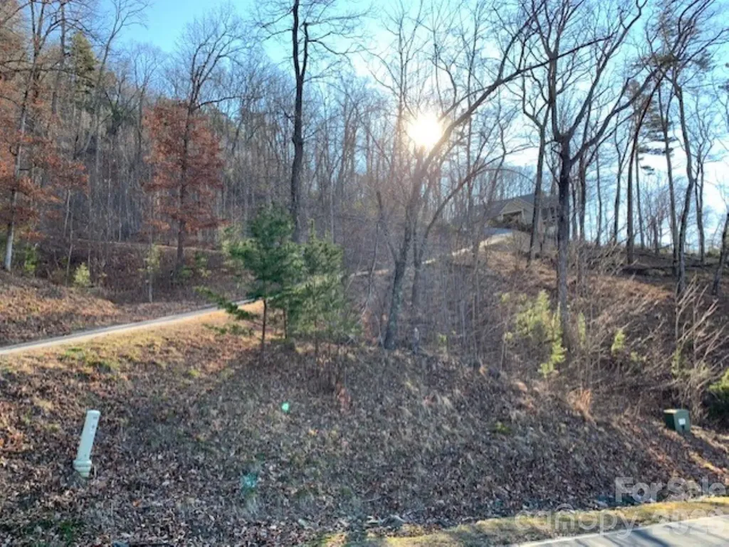 218 Rock Ledge Drive Lake Lure NC 28746