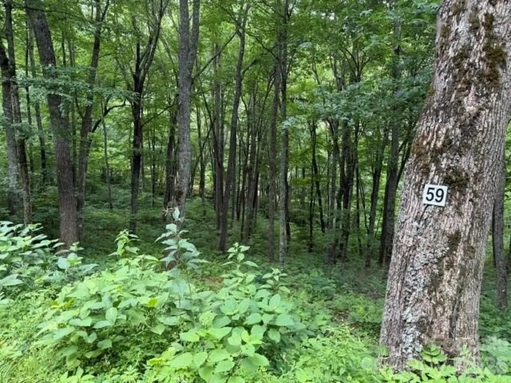 Lot 59 Odalu Trail Maggie Valley NC 28751