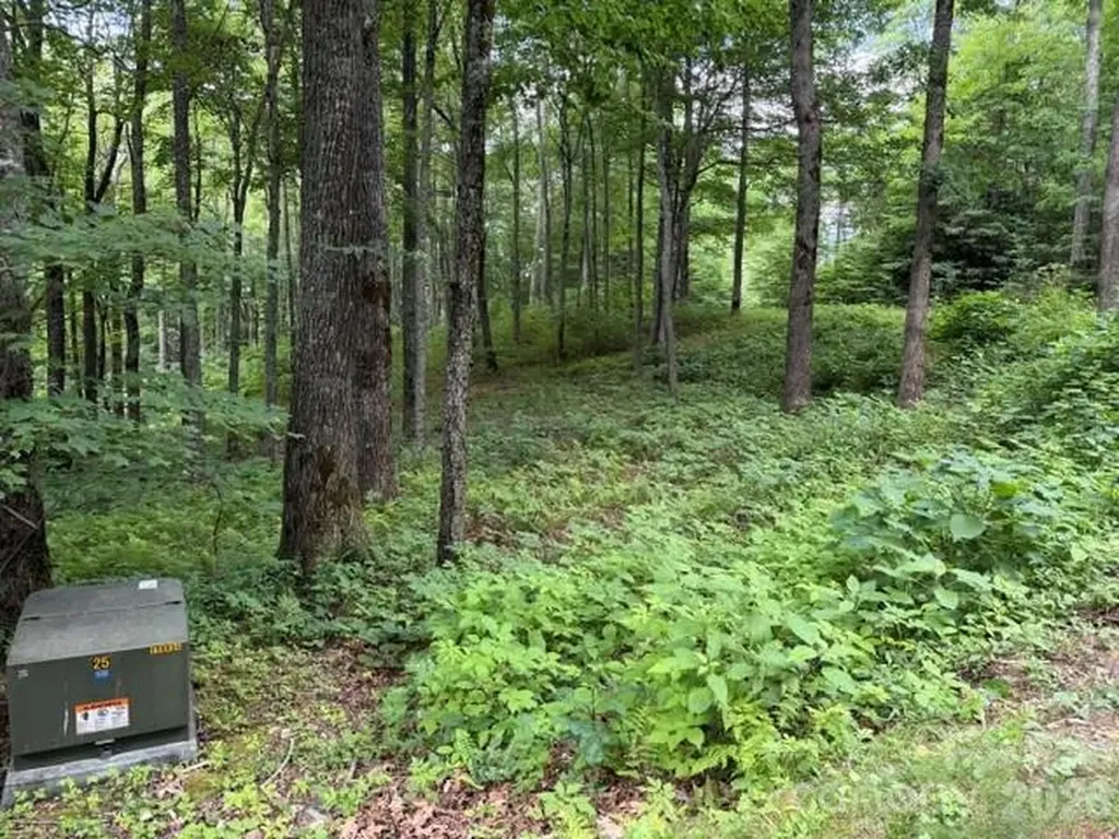 Lot 59 Odalu Trail Maggie Valley NC 28751