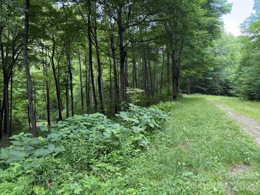 Lot 59 Odalu Trail Maggie Valley NC 28751