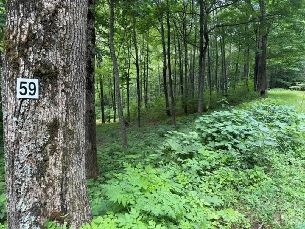 Lot 59 Odalu Trail Maggie Valley NC 28751