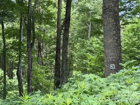15 Lots Odalu Trail Maggie Valley NC 28751