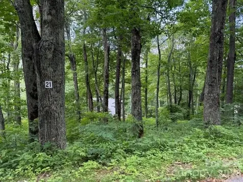 15 Lots Odalu Trail Maggie Valley NC 28751