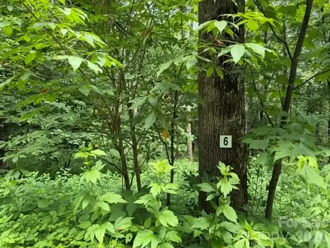 15 Lots Odalu Trail Maggie Valley NC 28751