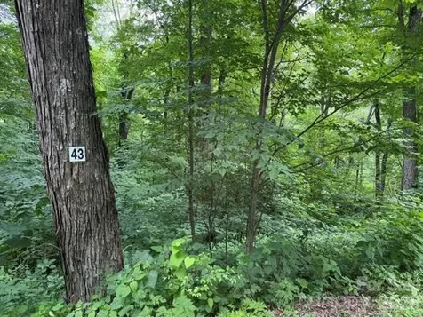 15 Lots Odalu Trail Maggie Valley NC 28751