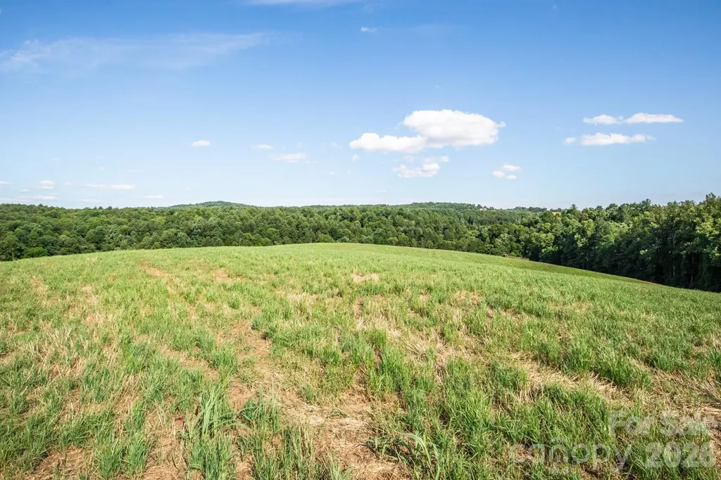 1779 Round Hill Church Road Traphill NC 28685