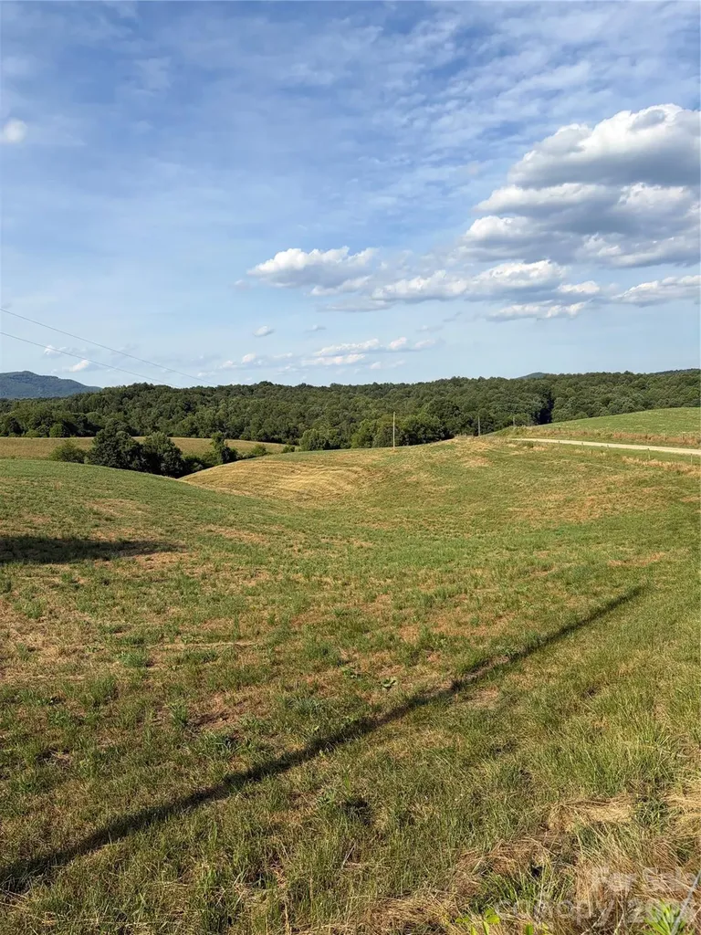 1779 Round Hill Church Road Traphill NC 28685