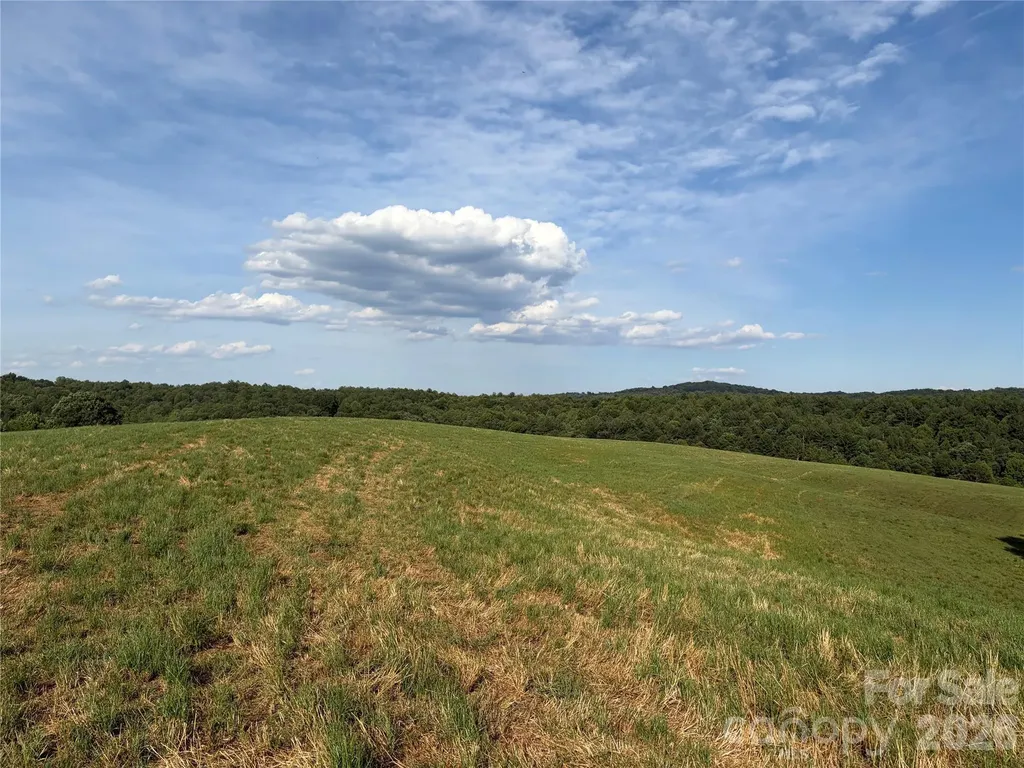 1779 Round Hill Church Road Traphill NC 28685