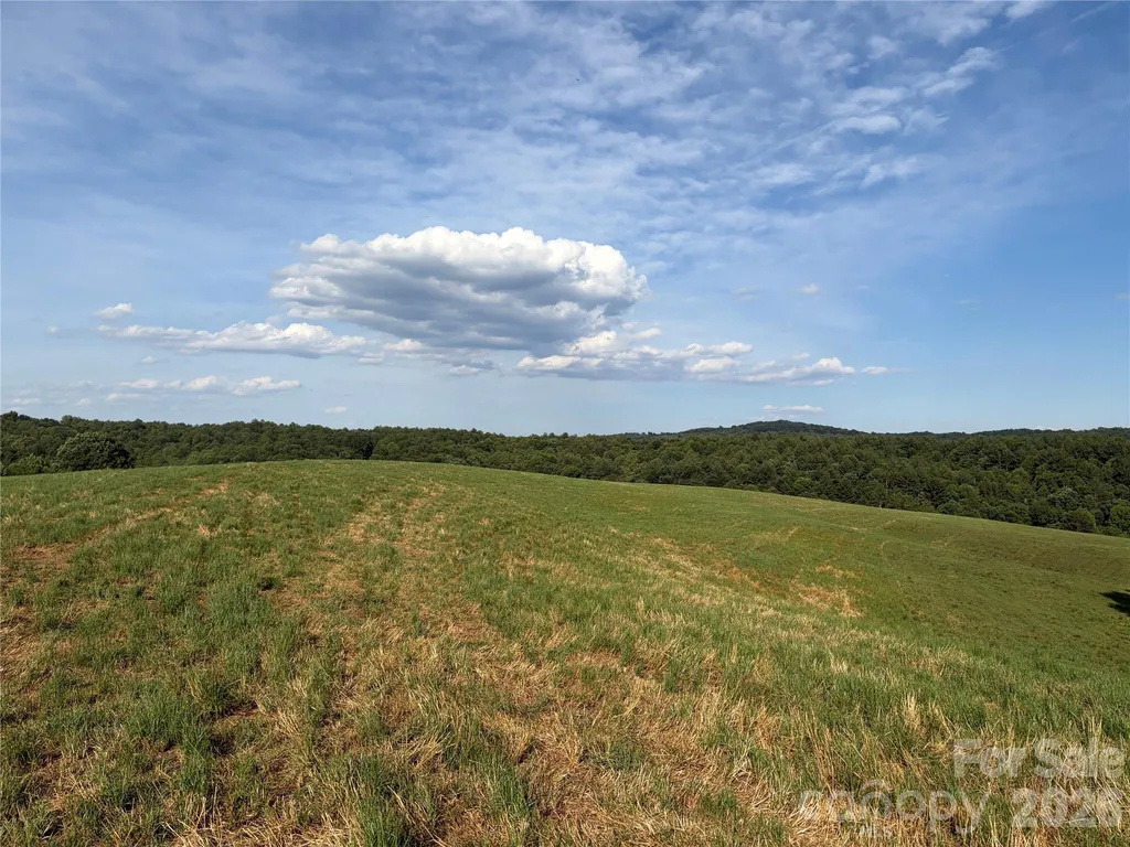 1779 Round Hill Church Road Traphill NC 28685